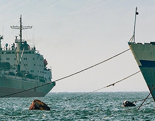 Choosing the best legal structure for operating in a foreign market