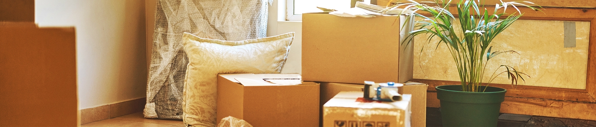 10 a�os asesorando a nuestros clientes